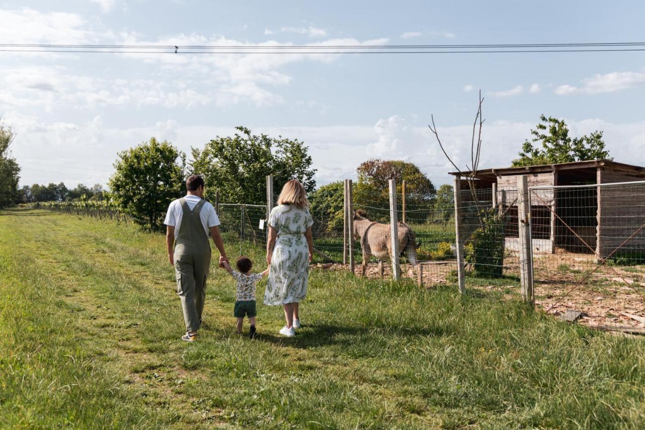 Agriturismo Rechsteiner Ponte di Piave Buitenkant foto